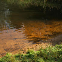 Lake Edge. 2011