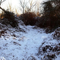 Wasteland Winter. 2009