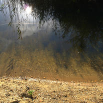 Around The Sun. 2011