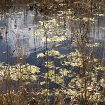 Wicken Water. 2012