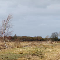 Wicken Landscape. 2012