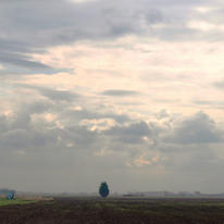 Landscape near Sutton.