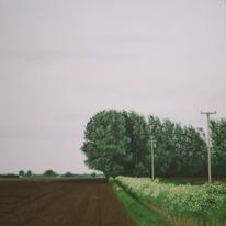hidden Early Summer Trees