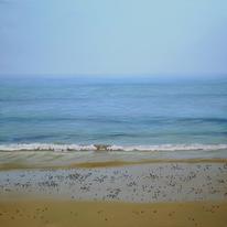 hidden Coast VI: Sherringham…