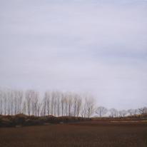 Winter Trees