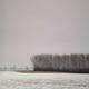 Snow Field and Trees…
