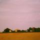 August Evening Farm 