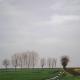 Farm Track 