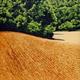 Field and Forest, France…