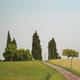 Hill Path, France 