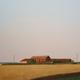 Old Barns, August 