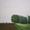 Early Summer Trees
