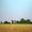 Early Morning, August…