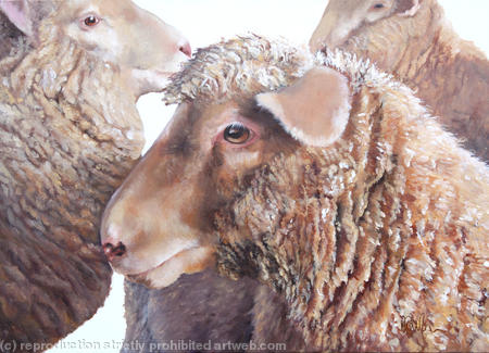 Sheep Flock
