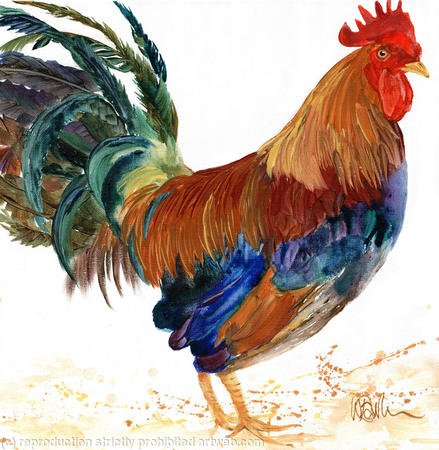 Cockerel