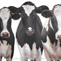 Three Freisians