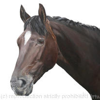 Dark Horse