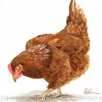 Henrietta Hen