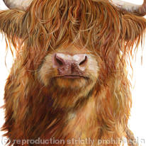 Haggis Highland