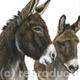 Dillon and Rocky