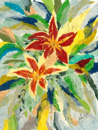 Stargazer