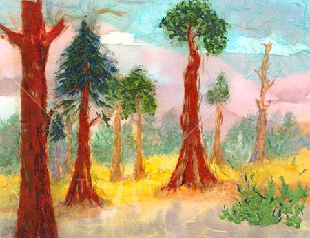Calaveros Redwoods