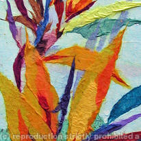 strelitzia--1