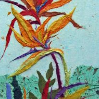 Strelitzia-2