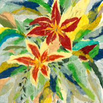 Stargazer