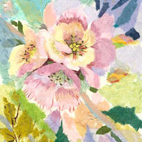 Japonica