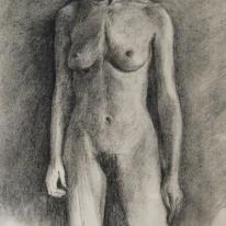 Life Model Study