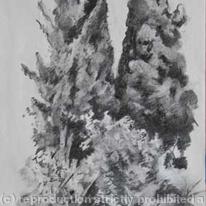 Trees