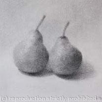 Pair of Pears