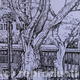 H.I.T, Israel | | 21 x 30cm | Pen on Paper H.I.T, Israel