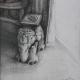 Elephant | | 15 x 15cm | Graphite on Paper Elephant