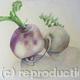 Turnips