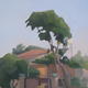 Sunrise in Lemba