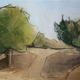 Trees in the Morning