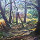 America woods I.O.W. | (sold) | 50 x 50cm | Oil on canvas America woods I.O.W.