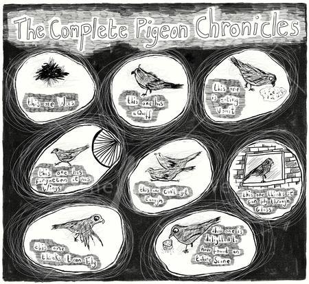 The Complete Pigeon Chronicles