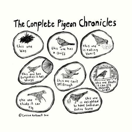Pigeon Chronicles bag design