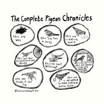 Pigeon Chronicles bag design