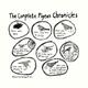 Pigeon Chronicles bag…