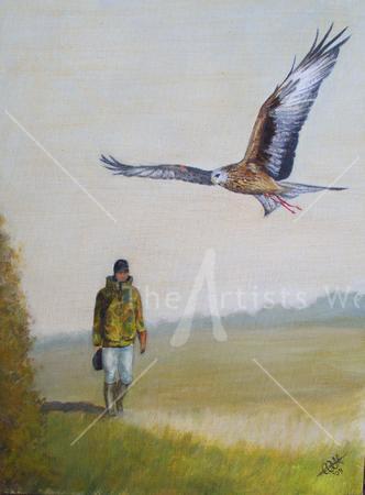 Hunting with a Hawk