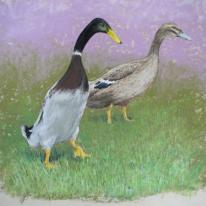 Paddy and Pip