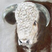 Henry, a Hereford Bull