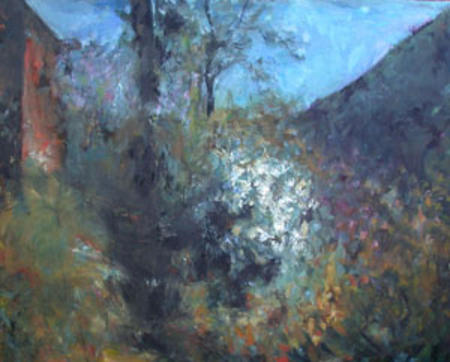 wild garden