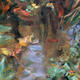 fish pool 1 | £550 | 63 x 78cm | oil on canvas fish pool 1