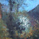 wild garden