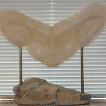 JANUS Front